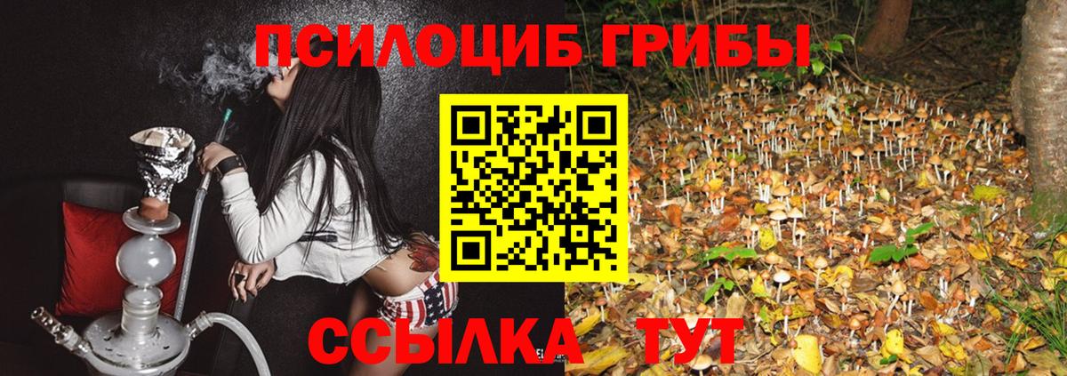 Псилоцибиновые грибы мицелий Казань