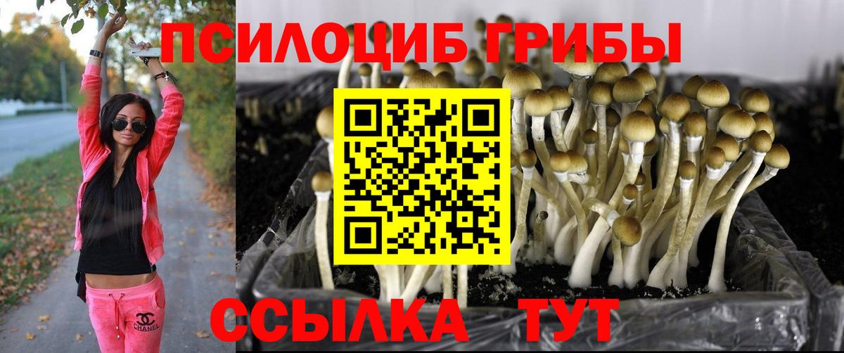 Галлюциногенные грибы GOLDEN TEACHER  где купить наркотик  Вход с VPN  Казань  Галлюциногенные грибы Cubensis 